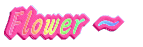 `Flower` 